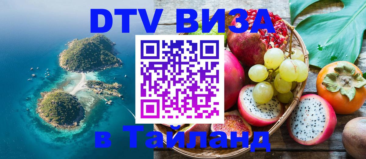 Оформление DTV визы под ключ: стоимость и тарифы, только загранпаспорт - Тверь  19.11.2025 